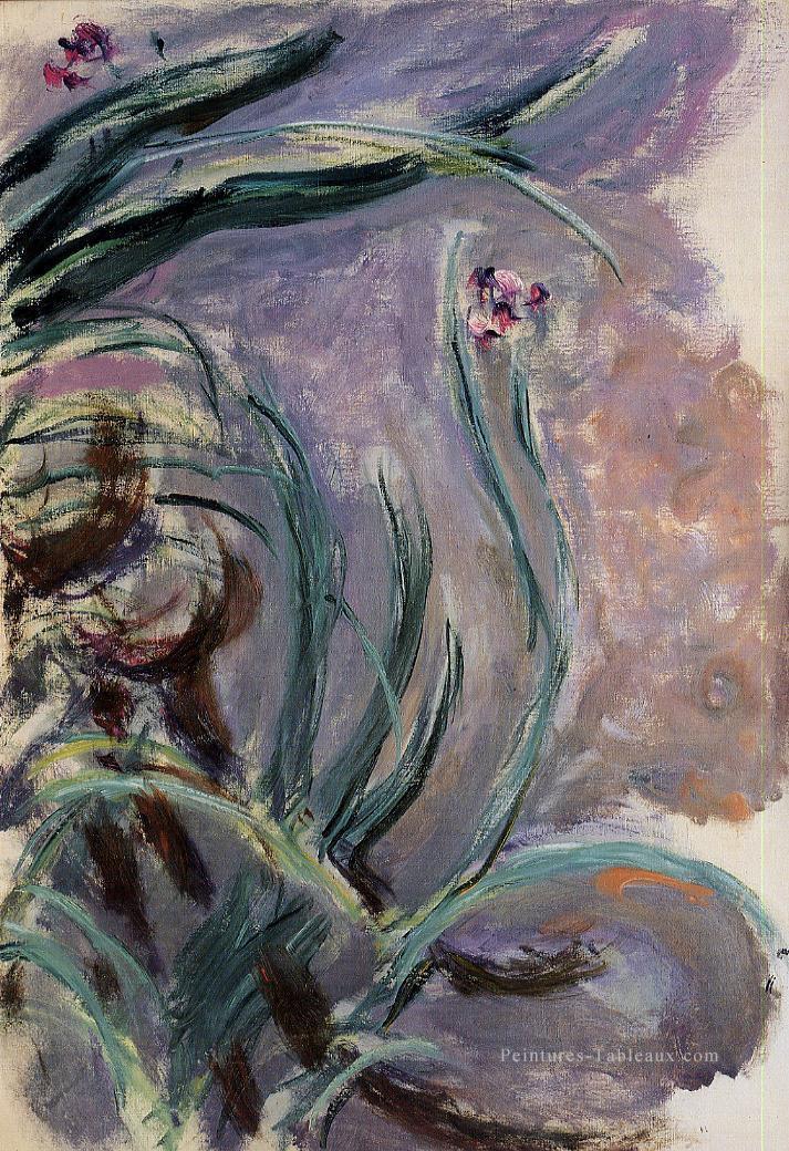 Iris III Claude Monet Peintures à l'huile